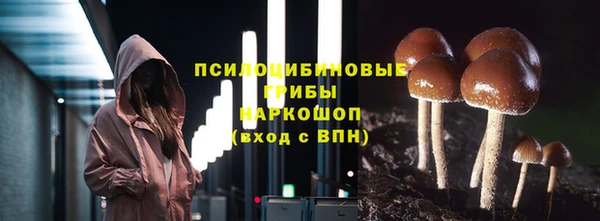 PSILOCYBIN Верея