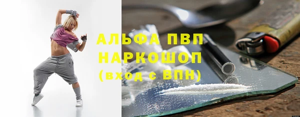 PSILOCYBIN Верея