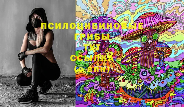 Альфа ПВП Вяземский